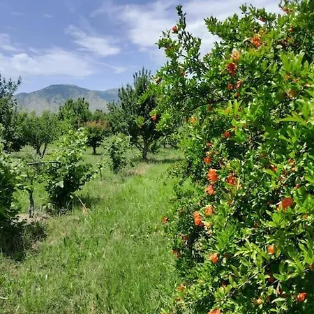 Sara & Mateo 아파트 Libohove