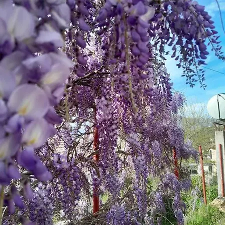 Sara & Mateo 아파트