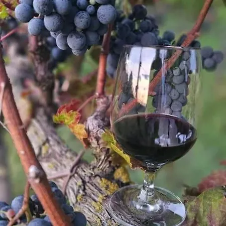 Apartman Sara & Mateo Libohove