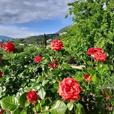 Apartman Sara & Mateo