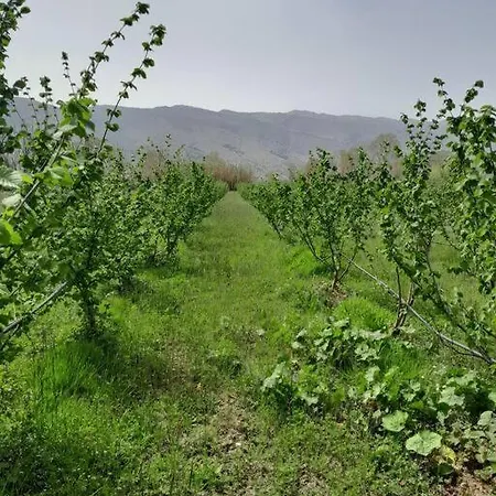 Sara & Mateo Apartman Libohove